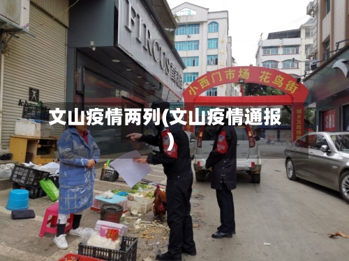 文山疫情两列(文山疫情通报)-第2张图片