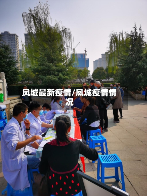 凤城最新疫情/凤城疫情情况-第2张图片