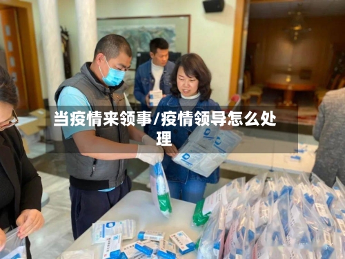 当疫情来领事/疫情领导怎么处理