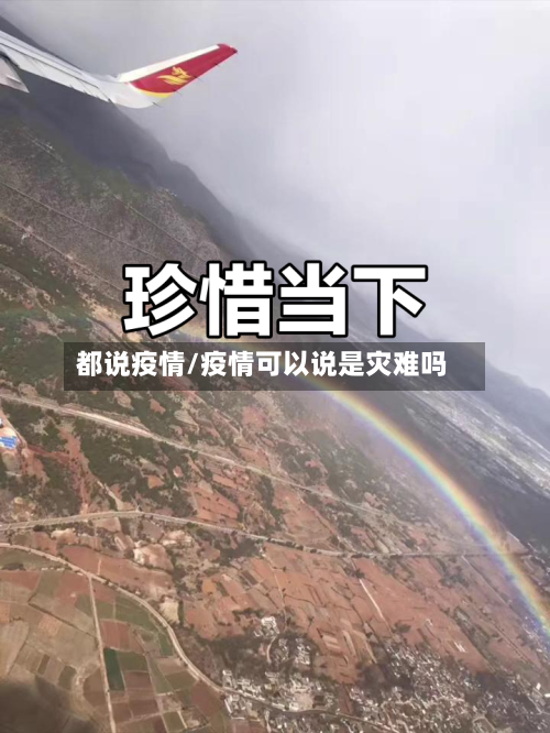 都说疫情/疫情可以说是灾难吗-第2张图片