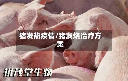 猪发热疫情/猪发烧治疗方案
