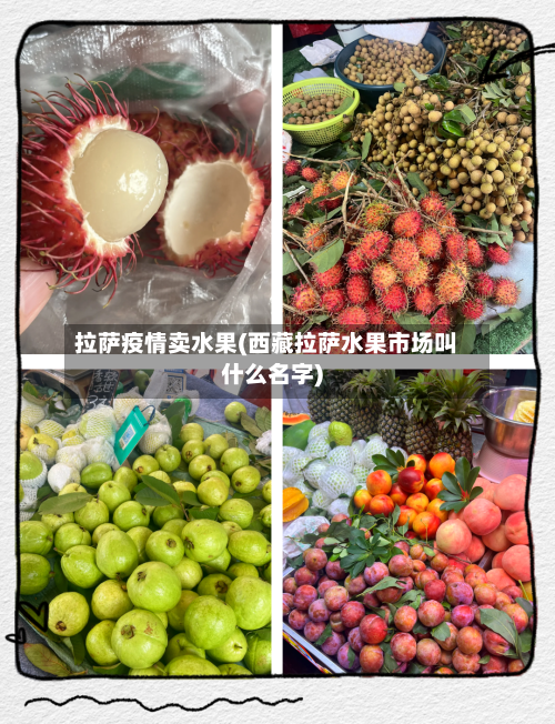 拉萨疫情卖水果(西藏拉萨水果市场叫什么名字)-第3张图片